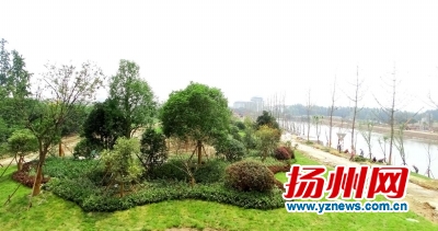 扬子津古渡公园南延工程。孔生摄