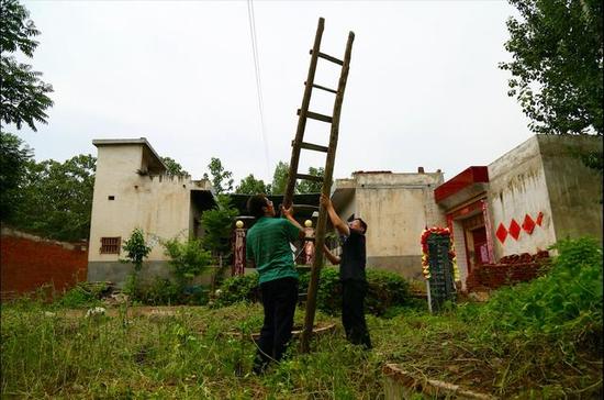 图中竖立梯子的位置，是大学生&ldquo;鸟案&rdquo;的第一案发现场。但判决书认定的地方，并不在此。记者 李晓磊
