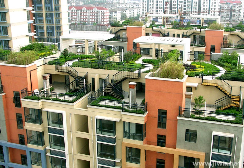 南京小区出新拟试点屋顶绿化建"空中花园"