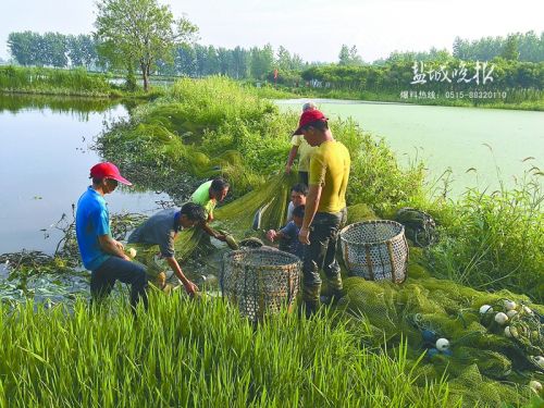 zhangyf160894_副本