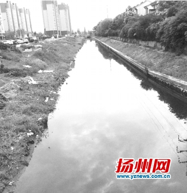 扬州一民企老总自筹40万治理河道 30天奇迹变清