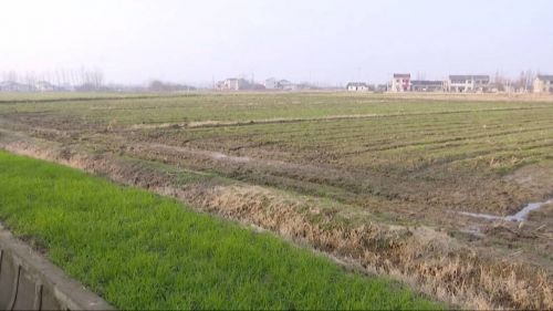 QQ图片20170110175649