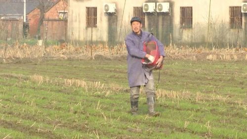 QQ图片20170110175637