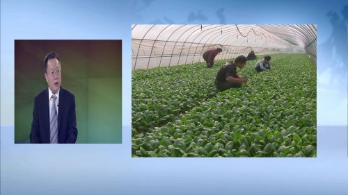 全委会报告解读（三）4