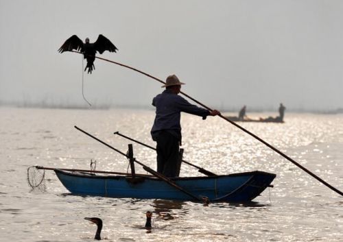 QQ截图20170104111127