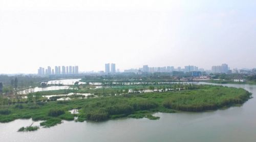 QQ图片20170107172531_副本