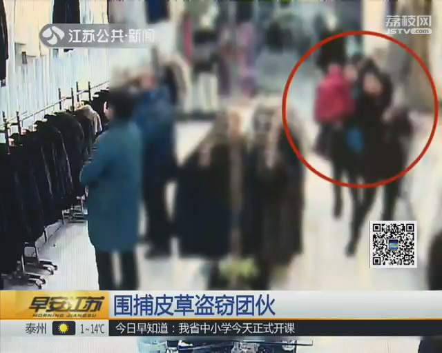 用孩子做掩护 专挑高端皮草下手的盗窃团伙落网
