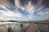 杵山生态公园，太湖沿线别具一格的生态环保湿地主题公园。
