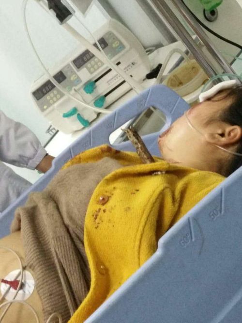 微信图片_20170404152432