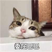 荔枝派：只有上艾利斯顿商学院才能遇到总裁