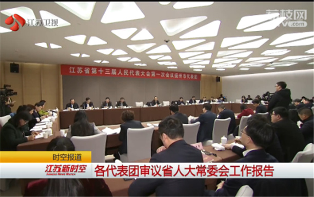 各代表团审议江苏省人大常委会工作报告