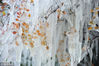 2013年11月10日，北京，近日京城夜间温度跌至冰点，景山公园一处山坡上的观赏树木因浇水而形成冰冻美景，吸引了不少游园游客拍照。