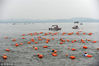 2018年10月20日，2018武汉水上马拉松在东湖开赛，来自中国、英国等国的约1700名选手一起畅游东湖，感受中国最大城中湖的魅力。