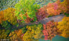 2018年10月30日，金秋时节，南京玄武湖景区秋色尽显，湖堤上的植被色彩斑斓，美若画卷。