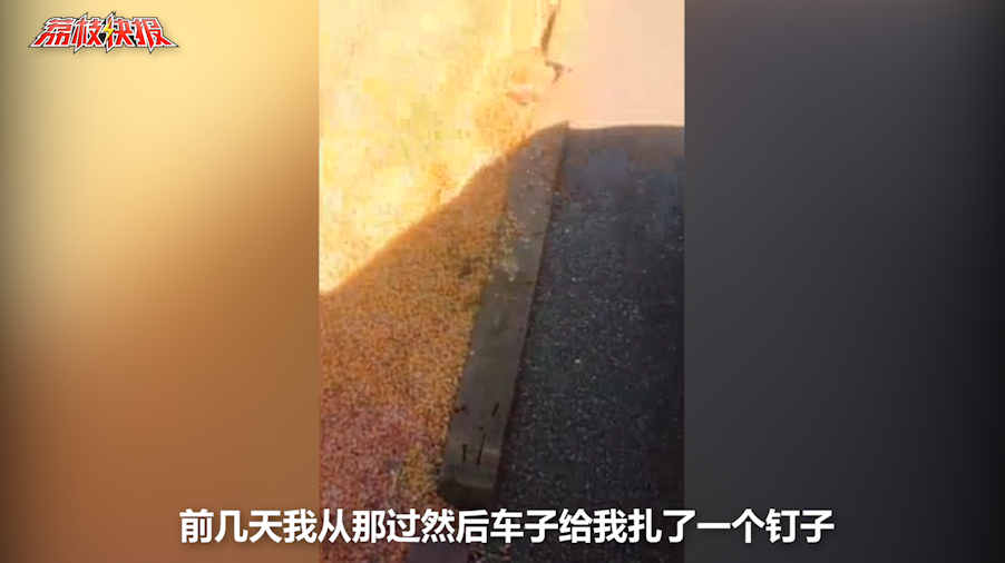 农民放钉子占马路晒玉米：不压到玉米就行