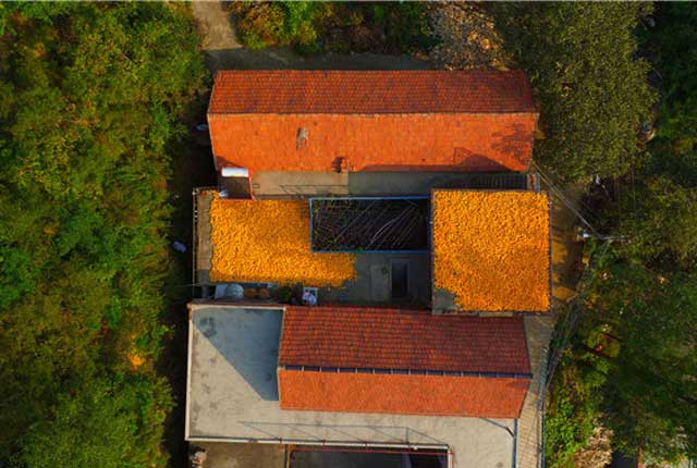 济南：山区农民屋顶晒秋 色彩斑斓似天然画作