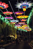 2018年10月7日，上海，锦江乐园国庆特设夜场闭幕，设自贡灯会非遗传承人设计制作的趣味艺术彩灯供游客欣赏。锦江乐园平时只有白天开放，下次夜场将在明年举办。