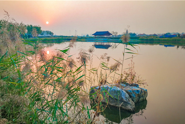 天津：市区最大公园水西公园开园