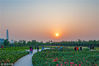 2018年10月5日，天津，西青区的水西公园自10月1日起开园，该公园面积约140.57公顷，是天津城内最大的综合性公园。