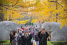 2018年11月10日，游客在南京钟山风景名胜区明孝陵神道上赏景游览。