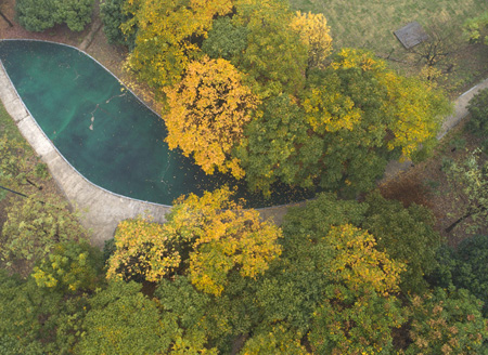 江苏淮安：古淮河湿地公园雨中艳秋如童话世界