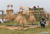 Students of Nanjing Forestry University make straw sculptures during a straw design contest at Xitian agriculture park in Nanjing, capital of east China's Jiangsu Province, Nov. 11, 2018. (Xinhua/Sun Can)