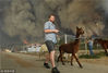 当地时间2018年11月10日，美国加州Paradise，当地山火肆虐。兽医为一头受伤的马儿检查身体。