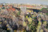 2018年11月17日，江苏淮安，古淮河国家湿地公园在冬日的映照下，美景如画，红枫醉人。张照久/视觉中国