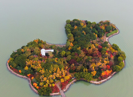 苏州金鸡湖上有座五彩玲珑岛