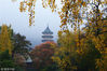 2018年11月18日，江苏南京东郊灵谷寺景区，雨后景色更加迷人。