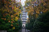 2018年11月18日，江苏南京东郊灵谷寺景区，雨后景色更加迷人。