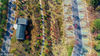 2018年11月2日，江苏淮安洪泽湖畔迎来金秋时节最佳观赏期，不同的树叶编织多彩的童话世界，美景如画，美不胜收。