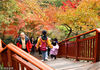 2018年11月17日，南京栖霞山秋景，人们常说“春牛首秋栖霞”，深秋的栖霞山，满山红遍，五彩缤纷，着实美不胜收。来栖霞山赏秋的人络绎不绝。