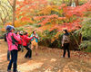 2018年11月22日，南京中山植物园红枫岗上的红枫林，深秋时节，层林尽染，五彩缤纷。吸引众多游客和摄影人前来观赏拍照。