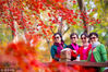 2018年11月24日，初冬时节，南京中山植物园内的枫叶次第染红，美丽的“枫景”令人赏心悦目。苏阳/视觉中国