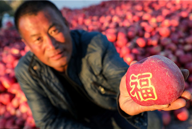 辽宁丹东：男子把12生肖苹果当“金果”卖 5元一个4万斤供不应求