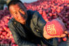 2018年10月27日，辽宁丹东。合隆满族乡翟家堡村。果农柳鸿裕展示带福字的苹果。