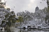 2018年11月4日，西宁迎来降雪天气，城市银装素裹分外妖娆。
