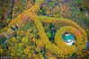2018年11月4日，深秋时节，南京钟山风景名胜区层林尽染，从空中俯瞰，长满了梧桐树的陵园路与美龄宫绿色琉璃瓦屋顶构成了一串“宝石项链”，景色如画。