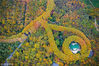 2018年11月4日，深秋时节，南京钟山风景名胜区层林尽染，从空中俯瞰，长满了梧桐树的陵园路与美龄宫绿色琉璃瓦屋顶构成了一串“宝石项链”，景色如画。苏阳/视觉中国