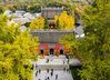 Aerial photography of the colorful autumn scene of Qixia Temple, Nanjing, Nov 4, 2018.