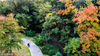 2018年11月2日，南京，钟山风景区进入秋季，漫山遍野的树叶变得五彩斑斓。