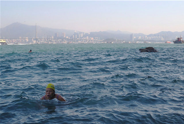 实拍香港西环泳棚 老人与过路货轮“并肩”畅游同一片海
