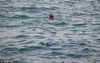 2018年10月7日，香港，一名游泳者从西环泳棚下水游泳。一个塑料瓶从她身边漂过。
