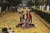 2018年11月30日，南京大学鼓楼校区内金黄的银杏树叶为校园添加了一道靓丽风景，吸引市民拍照留念。