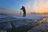 2018年12月11日，黑龙江省哈尔滨市，松花江上，采冰人在漫天霞光中破冰、采冰，金色光芒在水雾上升腾缭绕，给劳动的场面增添了诗意。