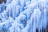 2018年12月11日，北京。位于门头沟神泉峡景区大型人工冰瀑形成美丽的冰瀑景观，目前已正式向游客开放。
