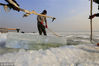 2018年12月11日，黑龙江省哈尔滨市，松花江上，采冰者们弯腰拉绳，宛如纤夫般拽重达半吨的冰块出水。采冰者都是自哈市江北万宝、东发、沙陀子等乡镇的农民，他们每年冬闲时都会亲属、村邻之间结伴到松花江畔采冰，有的采冰人，已经连续干了二十多年。每个采冰季，他们每天要在冰面上工作10-12个小时，每个采冰组，一天要拽出冰块2000-3000块，一个近20天的采冰季，每人能收入近万元。