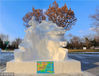 2018年12月13日，哈尔滨。第六届“冬之韵”黑龙江省大学生雪雕比赛在落幕，30余件充满艺术气息的作品，率先亮相太阳岛雪博会。