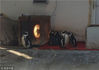 2018年12月17日，成都动物园内企鹅围着电暖器取暖，吸引市民围观。据悉，这些企鹅属温带企鹅，喜欢适应的温度是10度至18度左右。